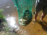IMG-20250522-WA0076.jpg