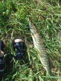 IMG_20250522_161656.jpg