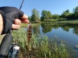 IMG_20250522_164134.jpg