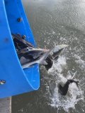 IMG_4842.jpeg