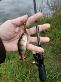 IMG_20250523_070811.jpg