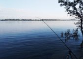 IMG_20250523_101654.jpg