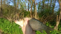 IMG_20250523_060638.jpg