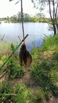 IMG_20250523_094520.jpg