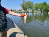IMG_20250523_103252_936.jpg