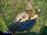 IMG_20250523_103234.jpg