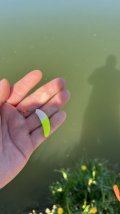 IMG_8579.jpeg