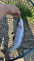 IMG_8630.jpeg