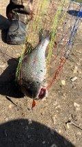 IMG_8626.jpeg