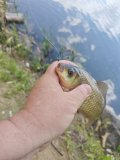 IMG_20250523_132747.jpg