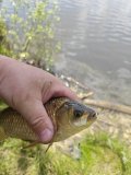 IMG_20250523_130837.jpg