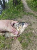 IMG_20250523_123835.jpg