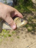 IMG_20250523_122525.jpg