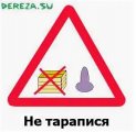 1748014304748.jpeg