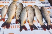 IMG_20250523_185735.jpg