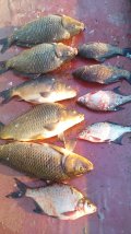 IMG-20250523-WA0030.jpg