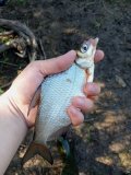 IMG20250523103207.jpg