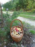 IMG_20250523_172509.jpg
