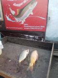 IMG-20250523-WA0011.jpg