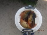 IMG-20250523-WA0110.jpg