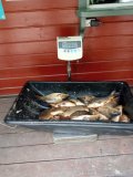 IMG-20250523-WA0095.jpg