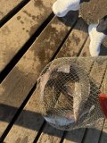 IMG_4379.jpeg