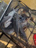 IMG_4376.jpeg