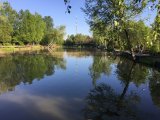 D3288B46-0418-4476-B6EF-D3C291C3FA93.jpeg