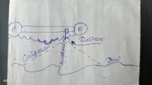 1000495439.jpg
