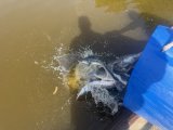 IMG_4399.jpeg