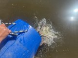 IMG_4405.jpeg