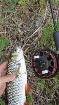 IMG_20250523_185210.jpg
