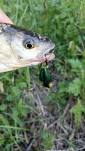 IMG_20250523_185159.jpg