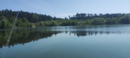 IMG_20250524_095253.jpg