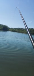 IMG_20250524_095526.jpg