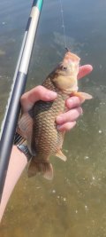 IMG_20250524_094228.jpg