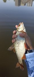 IMG_20250524_092529.jpg