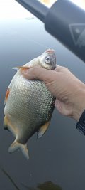 IMG_20250524_065540.jpg