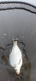 IMG_20250524_054237.jpg