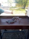 IMG_2291.jpeg