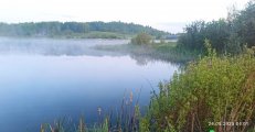 IMG_20250524_143802.jpg