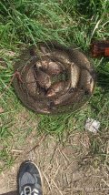 IMG_20250524_122212.jpg