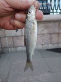 IMG_20250424_190556.jpg