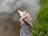 IMG20250523130518.jpg