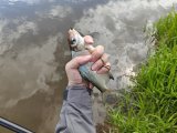IMG20250523130916.jpg