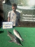 IMG_4421.jpeg