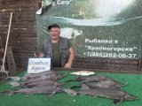 IMG_4426.jpeg