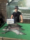 IMG_4419.jpeg