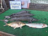 IMG_4441.jpeg