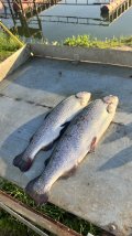 IMG_8753.jpeg